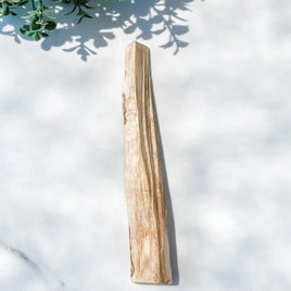 PALO SANTO STICKS